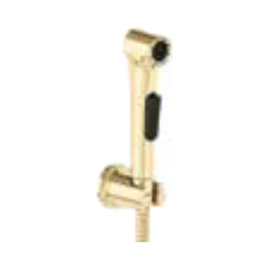 Kohler health faucet elate 97258IN-AF 97258IN-AF French Gold