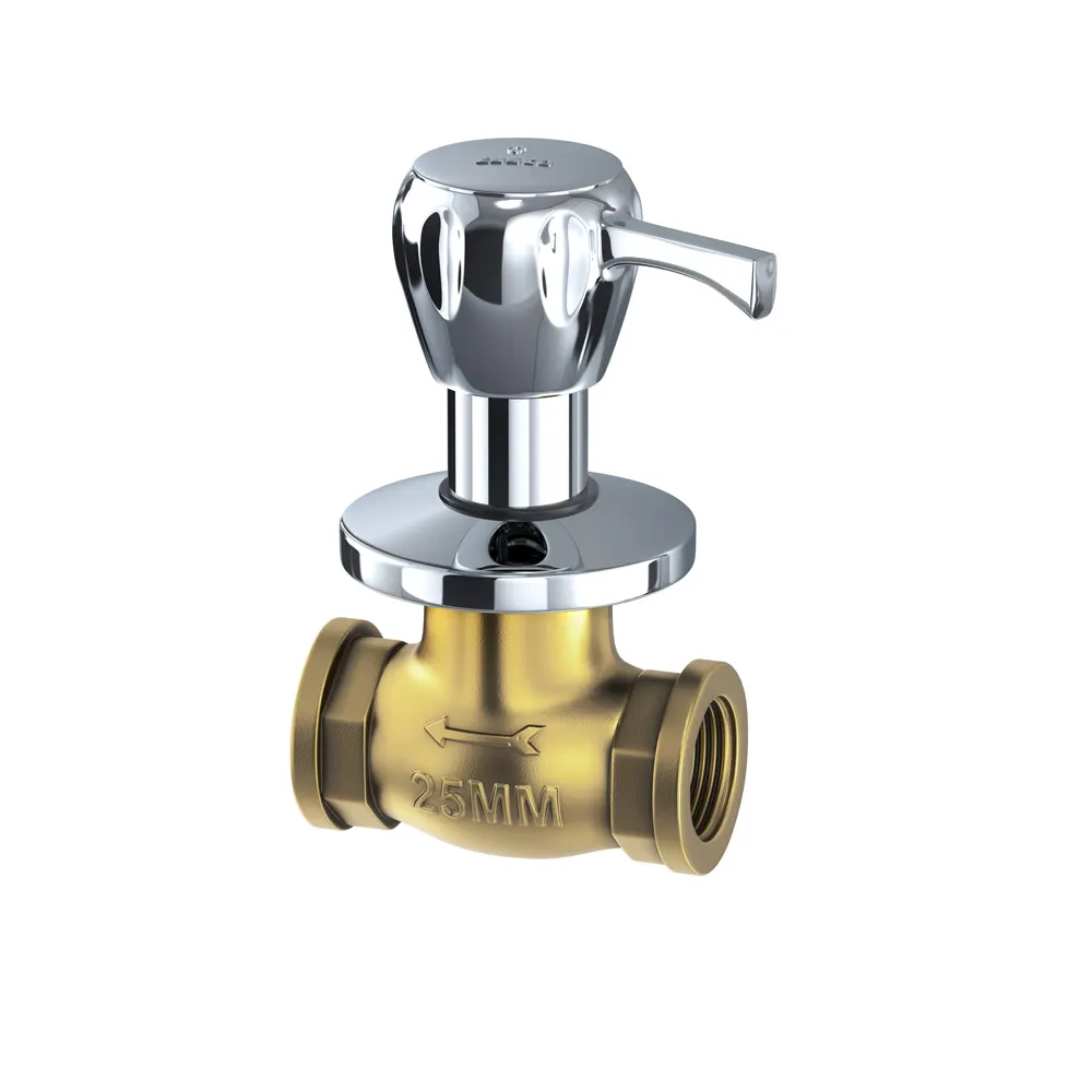 Essco Sumthing Special Flush Tap for WC Area SPL-CHR-551 Chrome - image 1