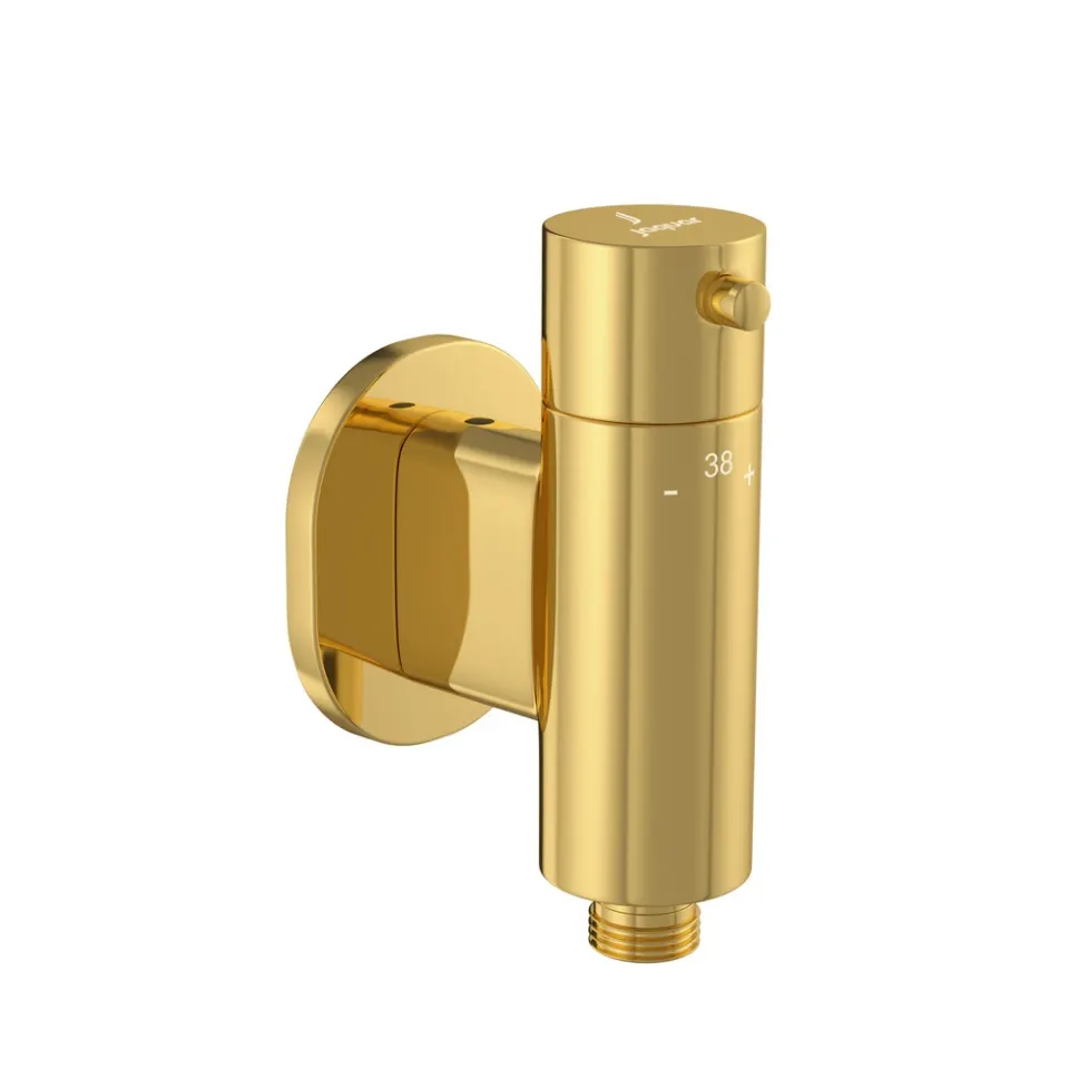 Jaquar Exposed Part Kit of Concealed Thermostatic Valve Allied series ALD-GBP-649K Gold Bright PVD - image 1