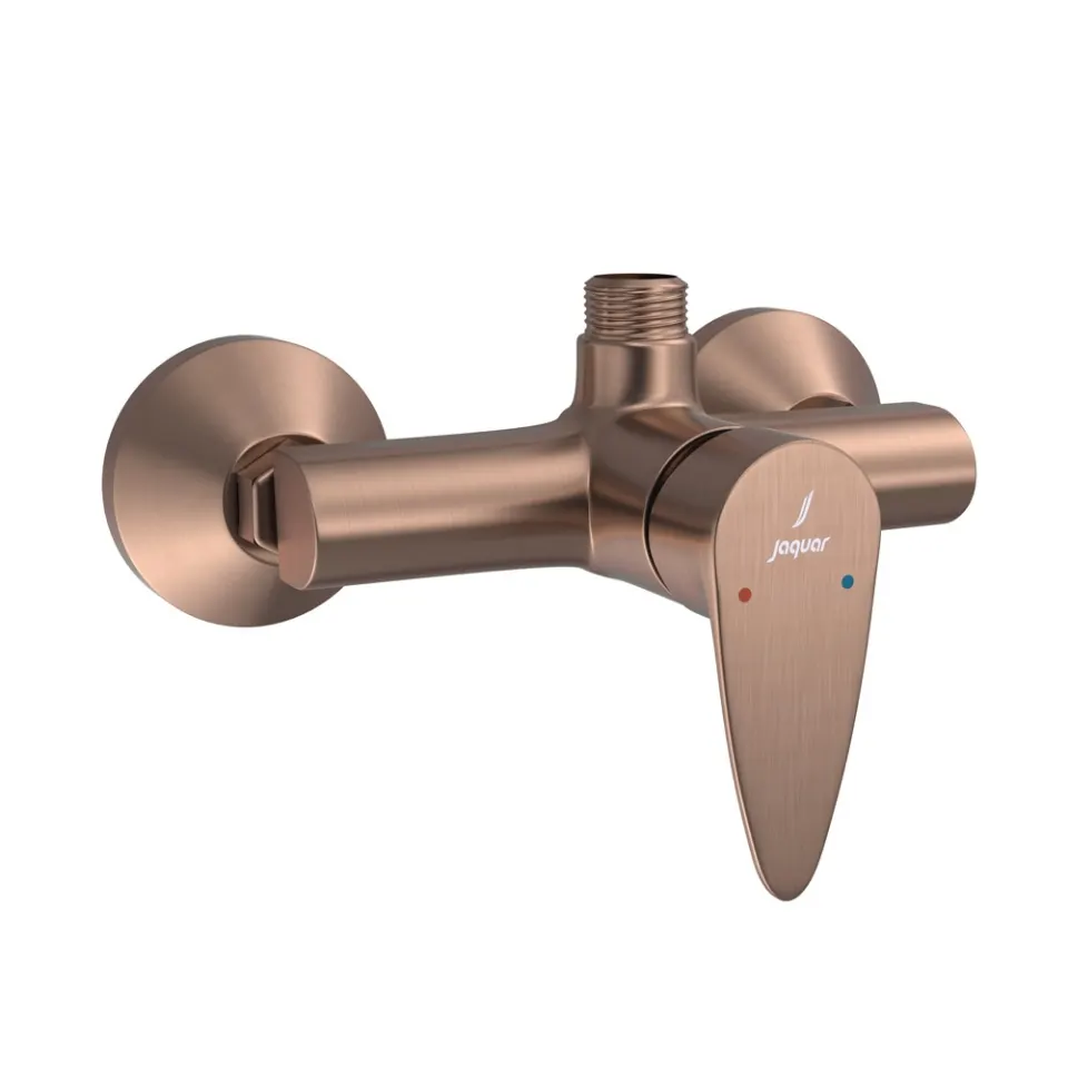Jaquar 1 Way Single Lever Wall Mixer for Exposed Shower Vignette Prime series VGP-ACR-81147 Antique Copper - image 1