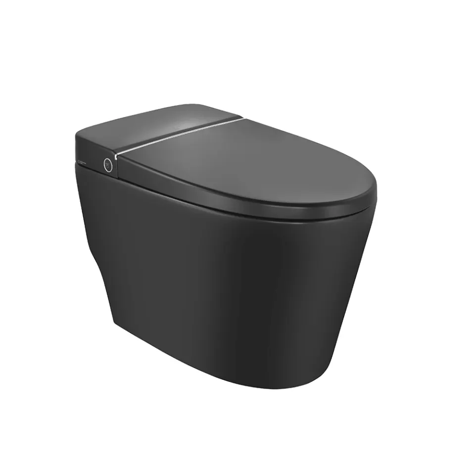 Jaquar Bidspa Fully Automatic Rimless Floor Mounted WC, 390 x 685 x 465 mm ITS-BLM-89853S300PPPMAT Black Matt - image 1