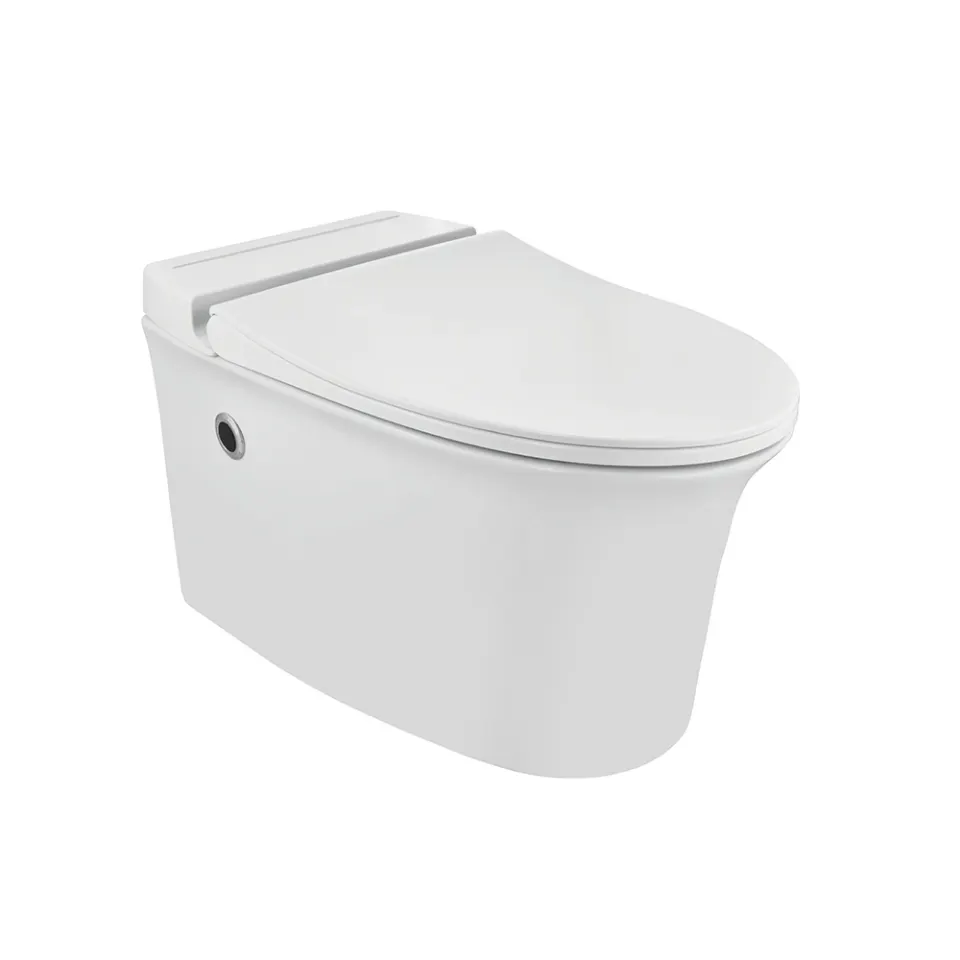 Jaquar Ornamix Tankless Wall Hung WC, 380 x 625 x 385 mm ONS-WHT-10961BIUFSMTL White - image 1