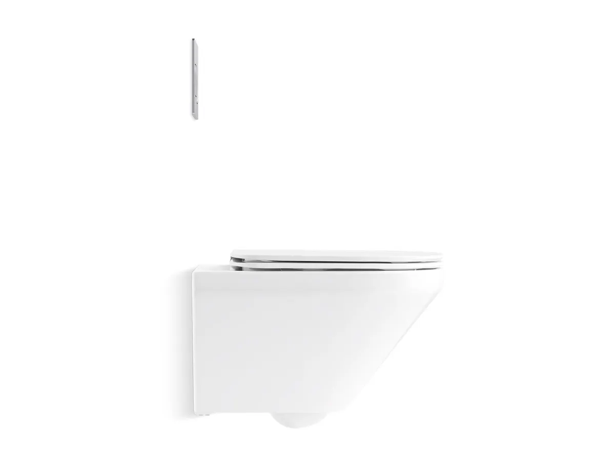 Kohler Pebble Flush Plate K-5413IN-M-CP 5413IN-M-CP Chrome - image 3