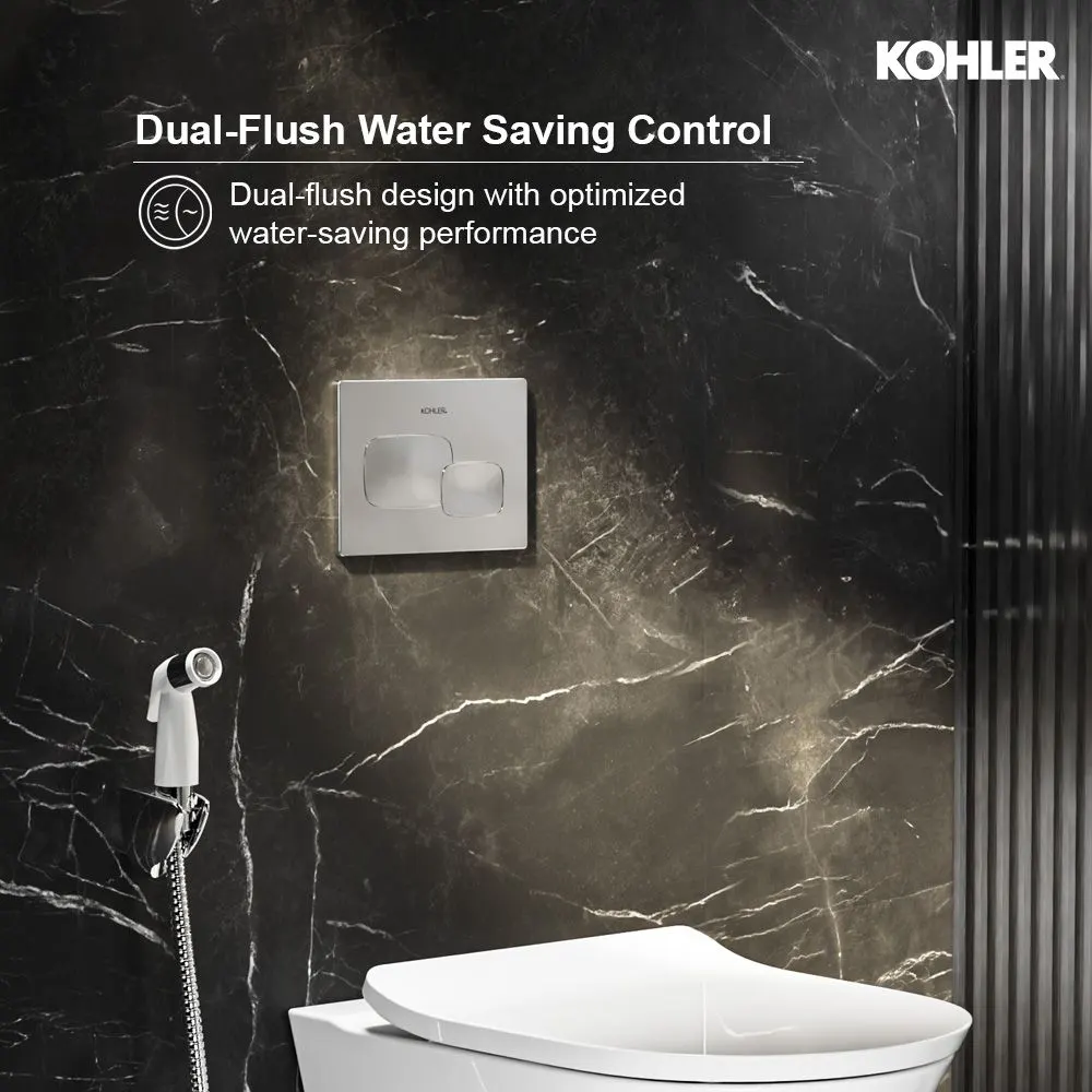 Kohler Pebble Flush Plate K-5413IN-P-CP 5413IN-P-CP Chrome - image 4